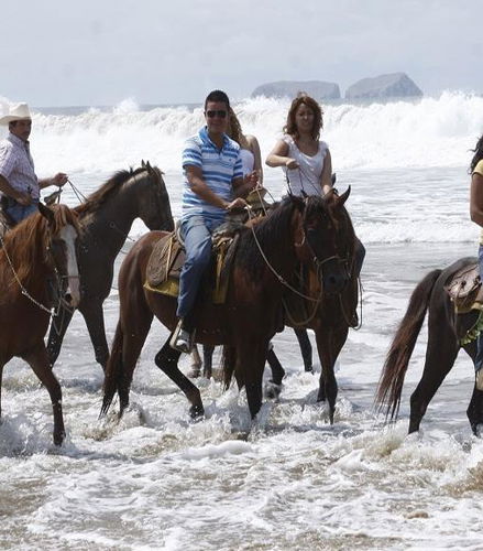 Bild - Horseback Riding Tour